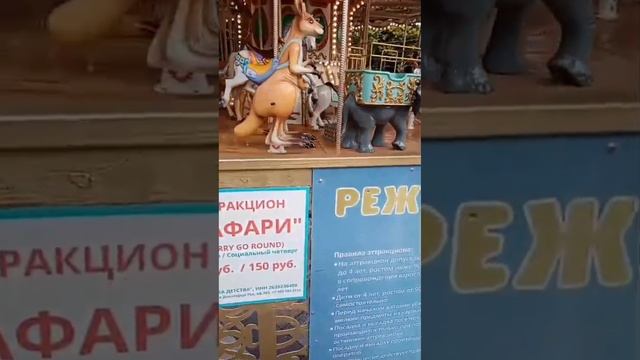 Девочки на каруселях