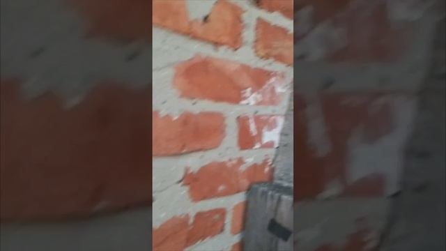 1000021908.mp4