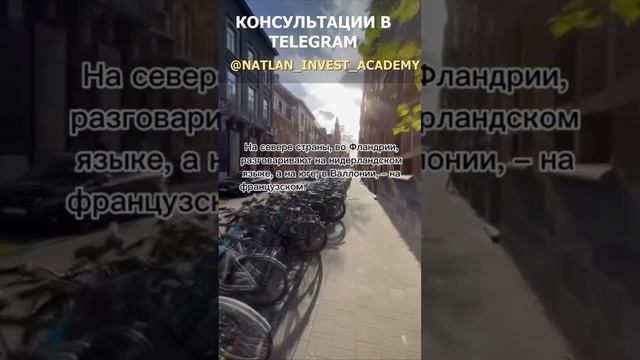 #Shorts Жизнь в БЕЛЬГИИ. Бельгия сегодня.  Гражданство в Бельгии