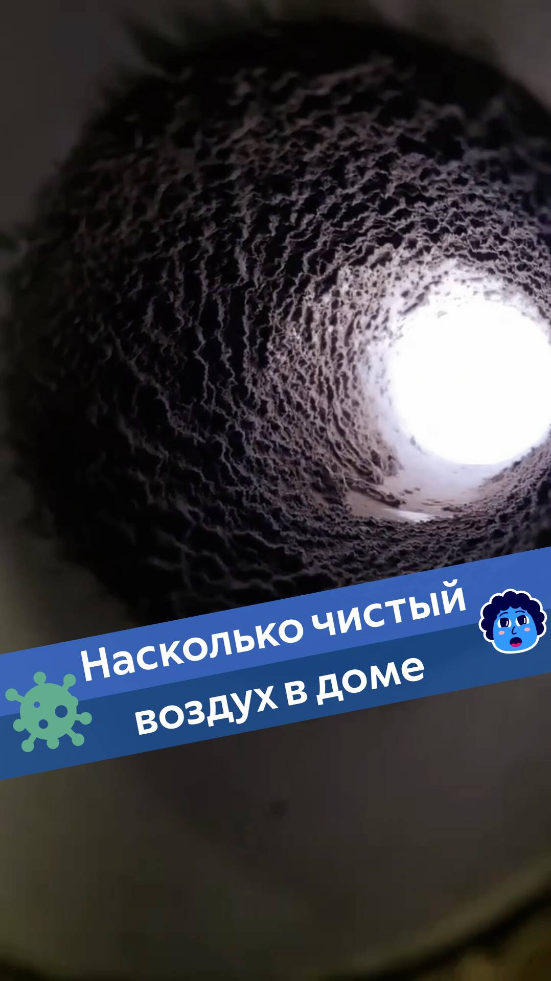 Насколько чистый воздух в доме 😳