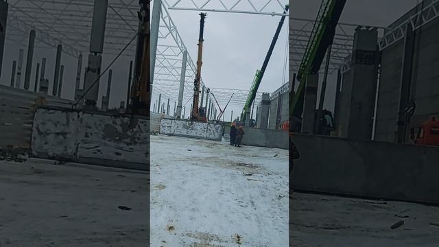 Озон до начала времён!!