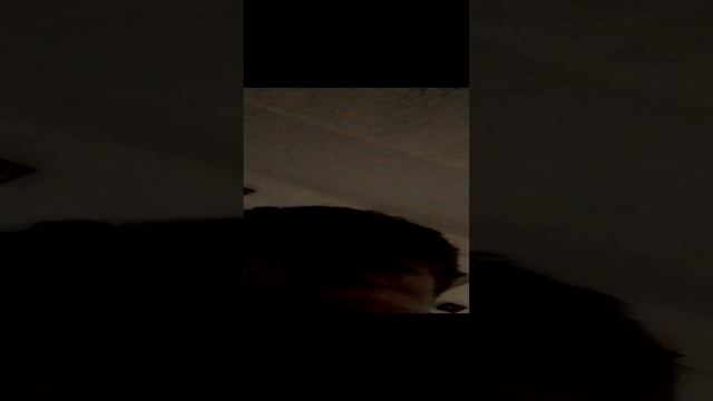 RUTUBE  Лучший