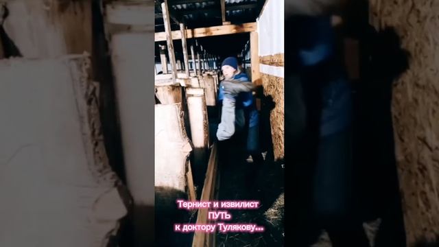 Тернист и извилист ПУТЬ к доктору Тулякову...