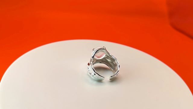 VID_20241101_232708_1_tvai