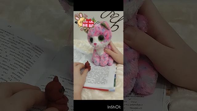 Истории Миши часть 6. В стране чудес