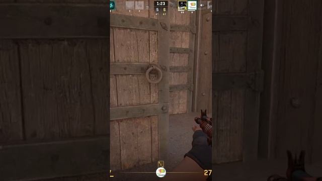 Zeus24111707