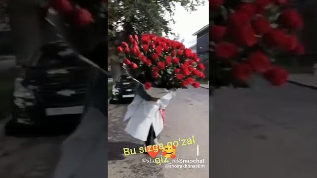VID-20241115-WA0066