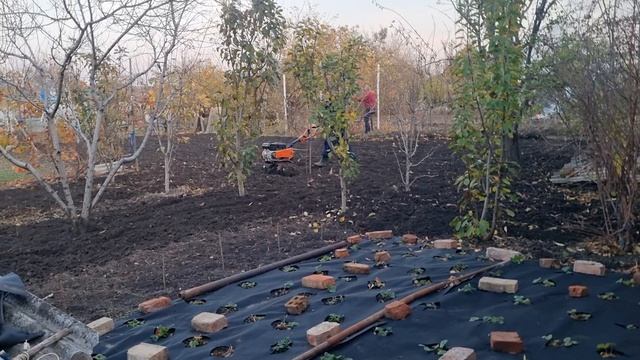 Работа сделана! К зиме готовы!