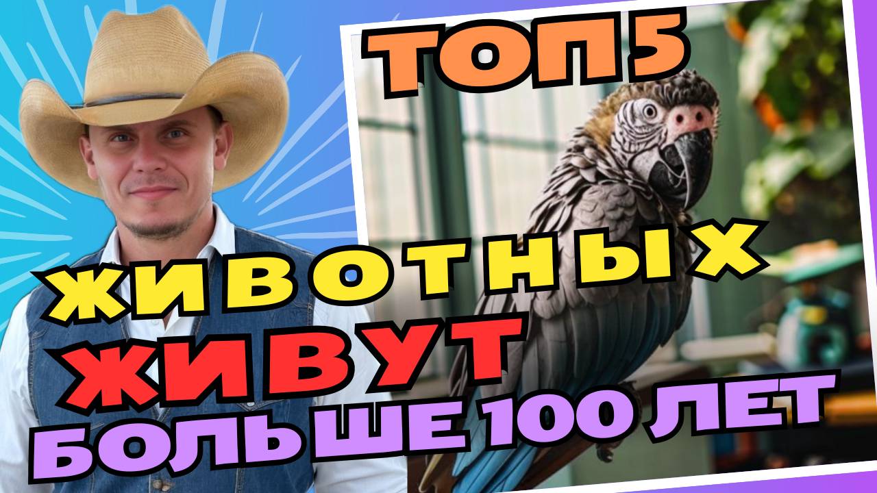 Топ 5 домашних животных, которые живут дольше всех