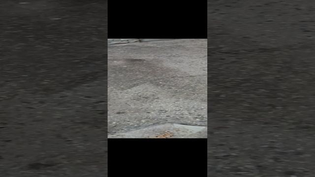 1000018570.mp4