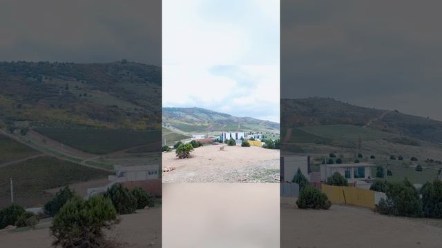 MP4_20241117_111012_PHOTOMOVIE