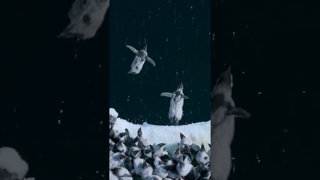 Надеюсь все инструктаж прошли?