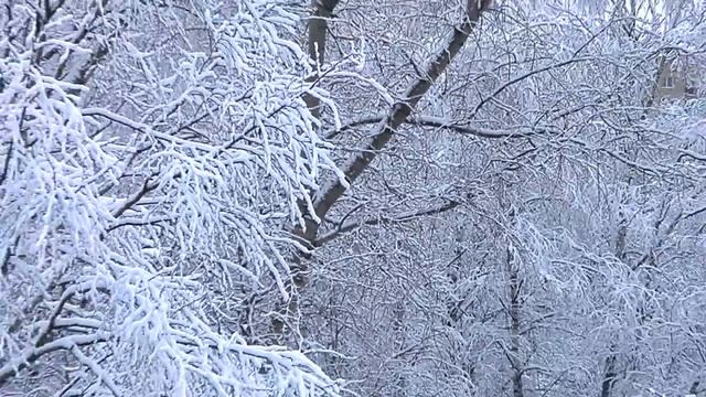 Влог / Город Раменское. Зимний день. / 24.12.23