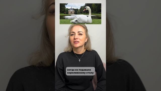 Интересные факты о Великобритании