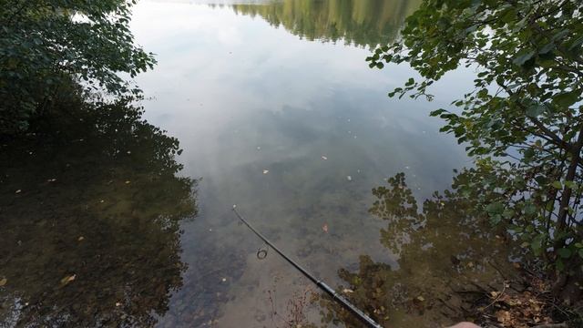 Cпиннинг Folkfishing Black Flock FBFS 762L. Пара моментов...