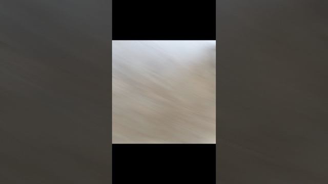1000028150.mp4