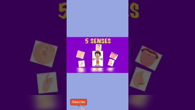 Sense organs | what are sense organs | sense organs for kids