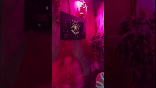 2_5319093584782188395.MOV
