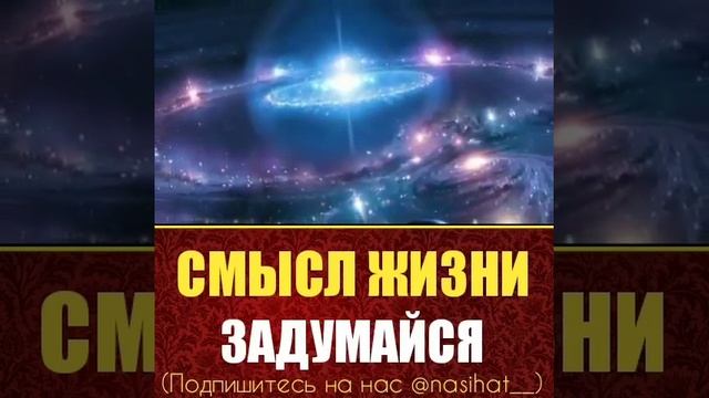 В чём смысл жизни(3)