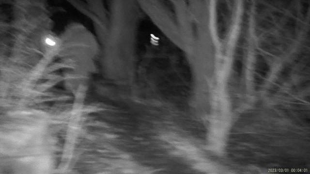 FNIRSI® NVS-20 4K HD ночь