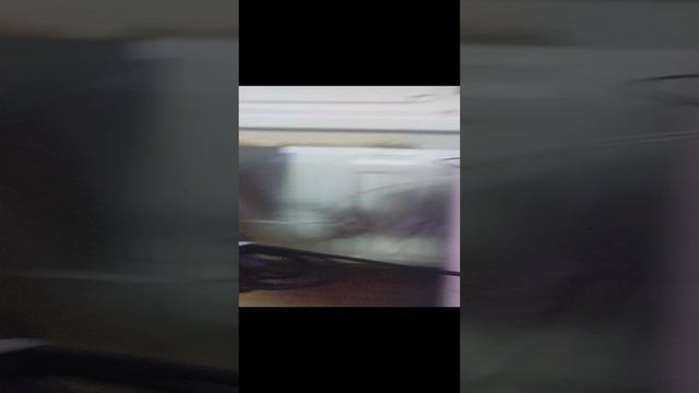 различие между мышкой из викс прайса и мышкой из м видео
