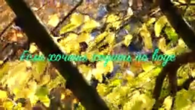 14. Исихия. иером. Симон (Безкровный)_144p.mp4