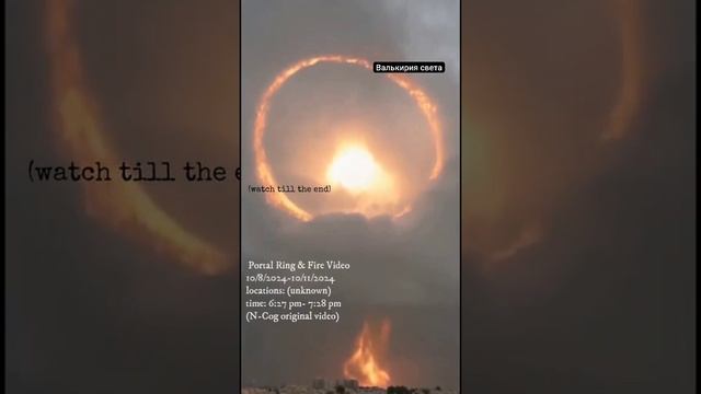 VID_20241110_095624_219.mp4