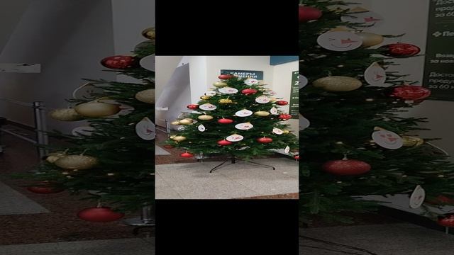 Ëлочка на Гостином дворе Уфы.