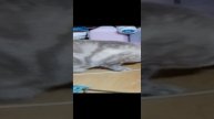 1000004999.mp4