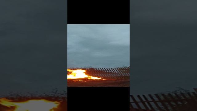 иволгая3. 0
