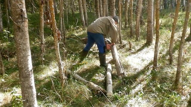 Сажаю Ежевику - Сжигаю Кучу Веток - Жизнь в Деревне - 2021