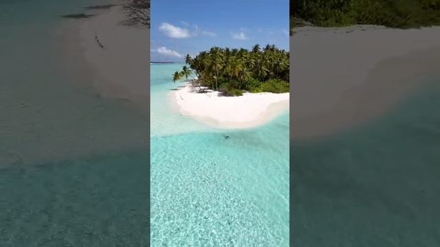 Переключитесь на JIFU.
Мечты сбываются.