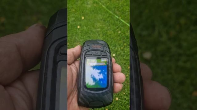 Зачем мы грели  бассейн