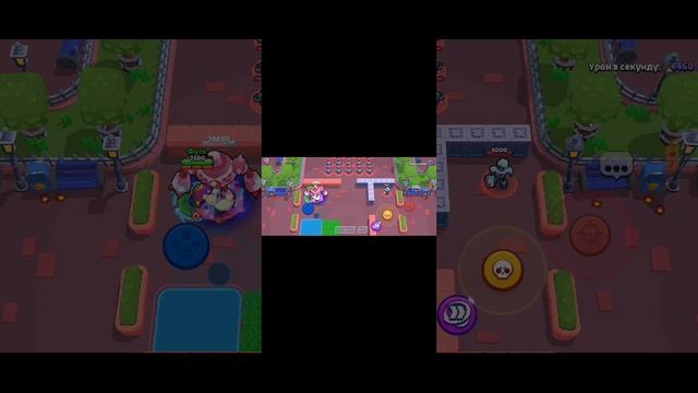 1000020160.mp4