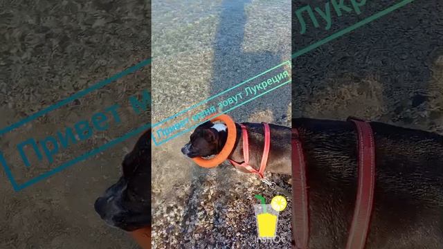 Крым /Лето -2024!.mp4