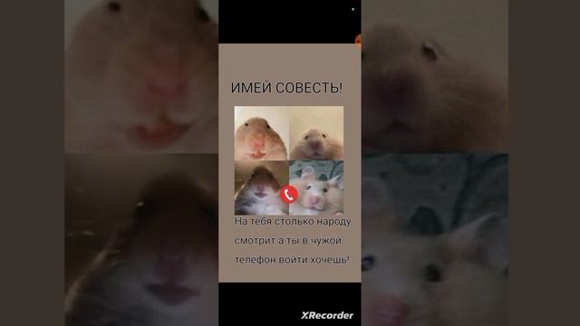 1000004443.mp4