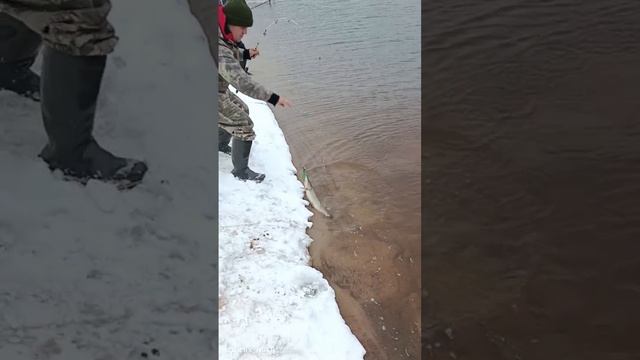 субботний день на берегу реки