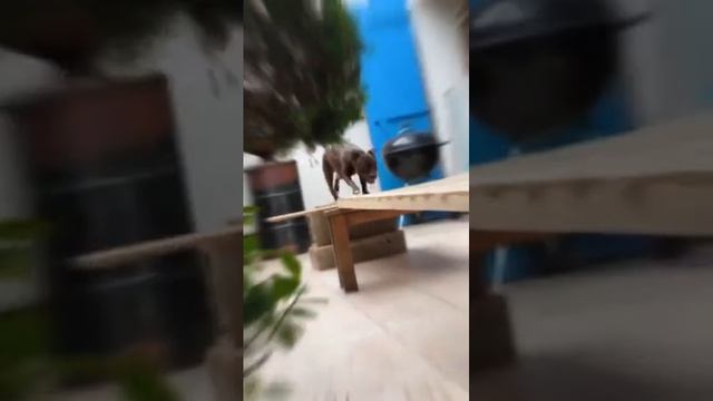 1000011938.mp4