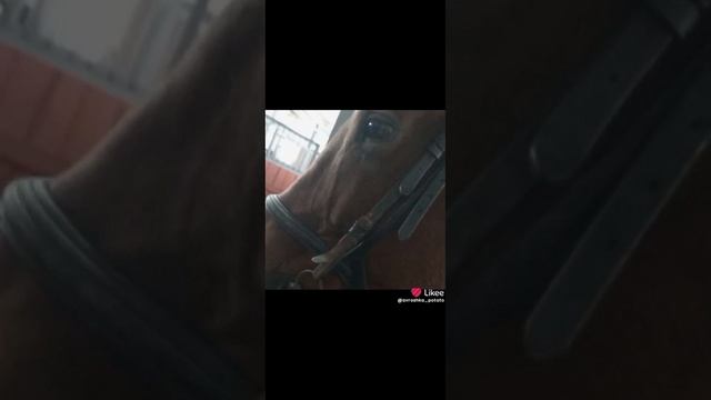 1000045831.mp4