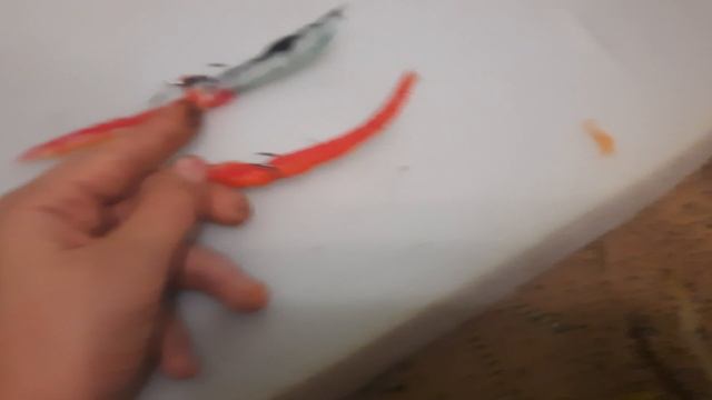 1000113779.mp4