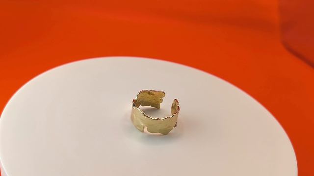 VID_20241101_231842_1_tvai