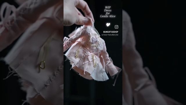 VID_21551207_060341_500.mp4
