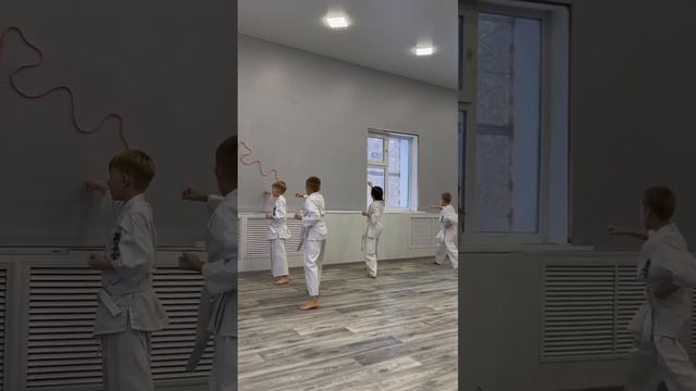 обзор чисто я на сдачи на пояс