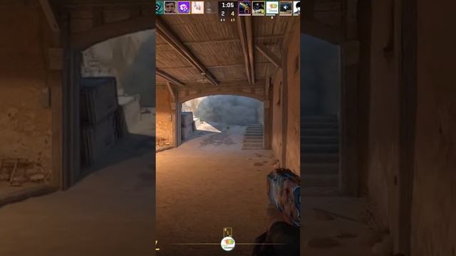 Zeus24111705