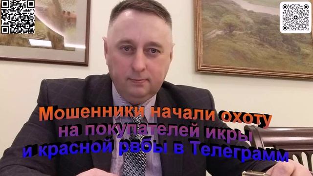 Мошенники начали охоту на покупателей красной рыбы и икры в Телеграмм
