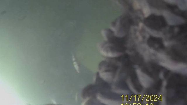 1000032812.mp4Волга гл.5м.17.11.2024г.