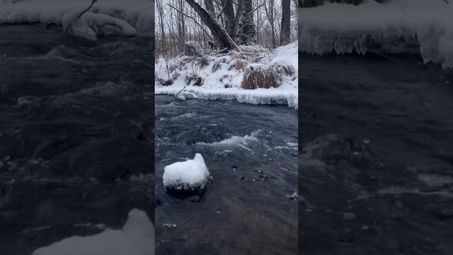 ❄️ Лучшее место на планете