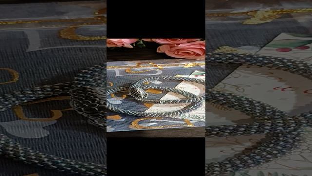 1000024599.mp4