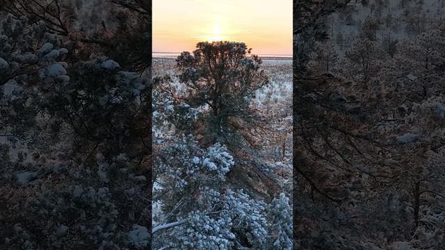 А вы знали, что в Сибири можно поймать самую крупную щуку в мире?