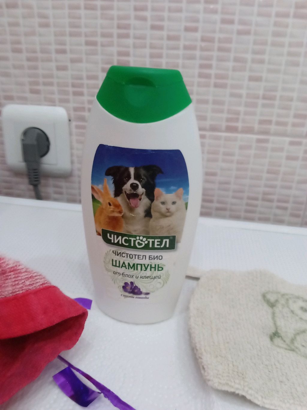 Купаем асю чеееееееееееееееееееек 💧💦🌊💦💧💦💧💦🌊🌊💦💧🌊🐱😸🐱😸🐱